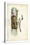 Audubon Havells Tern-John James Audubon-Stretched Canvas