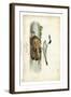 Audubon Havells Tern-John James Audubon-Framed Art Print