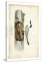 Audubon Havells Tern-John James Audubon-Stretched Canvas