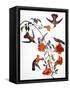 Audubon: Hummingbird-John James Audubon-Framed Stretched Canvas