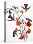 Audubon: Hummingbird-John James Audubon-Stretched Canvas