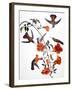 Audubon: Hummingbird-John James Audubon-Framed Giclee Print