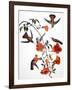 Audubon: Hummingbird-John James Audubon-Framed Giclee Print