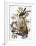 Audubon: Kestrel, 1827-John James Audubon-Framed Giclee Print