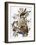 Audubon: Kestrel, 1827-John James Audubon-Framed Giclee Print