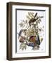 Audubon: Kestrel, 1827-John James Audubon-Framed Premium Giclee Print
