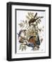 Audubon: Kestrel, 1827-John James Audubon-Framed Premium Giclee Print