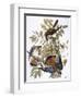 Audubon: Kestrel, 1827-John James Audubon-Framed Premium Giclee Print