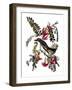 Audubon: Kingbird, 1827-38-John James Audubon-Framed Giclee Print