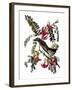 Audubon: Kingbird, 1827-38-John James Audubon-Framed Giclee Print