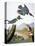Audubon: Kingfisher, 1827-John James Audubon-Stretched Canvas