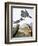 Audubon: Kingfisher, 1827-John James Audubon-Framed Giclee Print