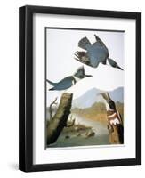 Audubon: Kingfisher, 1827-John James Audubon-Framed Giclee Print