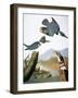 Audubon: Kingfisher, 1827-John James Audubon-Framed Giclee Print