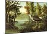 Audubon Lesser Yellowlegs Bird Art Poster Print-null-Mounted Poster