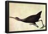 Audubon Limpkin Bird Art Poster Print-null-Framed Poster