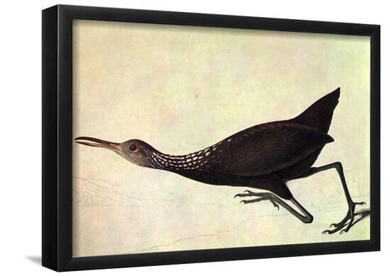 Poster, , large