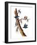 Audubon: Nuthatch-John James Audubon-Framed Giclee Print
