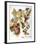 Audubon: Oriole-John James Audubon-Framed Giclee Print