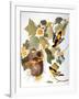 Audubon: Oriole-John James Audubon-Framed Giclee Print