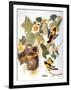 Audubon: Oriole-John James Audubon-Framed Giclee Print