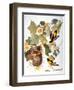 Audubon: Oriole-John James Audubon-Framed Giclee Print