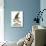 Audubon: Osprey-John James Audubon-Stretched Canvas displayed on a wall