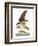 Audubon: Osprey-John James Audubon-Framed Premium Giclee Print