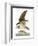 Audubon: Osprey-John James Audubon-Framed Premium Giclee Print