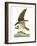 Audubon: Osprey-John James Audubon-Framed Giclee Print