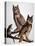 Audubon: Owl-John James Audubon-Stretched Canvas