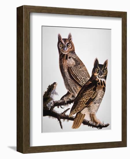 Audubon: Owl-John James Audubon-Framed Giclee Print