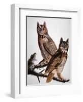 Audubon: Owl-John James Audubon-Framed Giclee Print