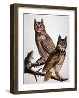 Audubon: Owl-John James Audubon-Framed Giclee Print