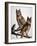 Audubon: Owl-John James Audubon-Framed Giclee Print