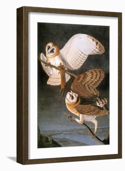 Audubon: Owl-John James Audubon-Framed Giclee Print