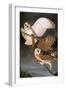 Audubon: Owl-John James Audubon-Framed Giclee Print