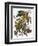 Audubon: Parakeet-John James Audubon-Framed Premium Giclee Print