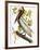 Audubon: Pelican-John James Audubon-Framed Giclee Print