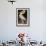 Audubon: Pelican-John James Audubon-Framed Giclee Print displayed on a wall