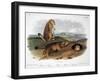 Audubon: Prairie Dog, 1844-John James Audubon-Framed Giclee Print