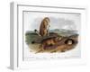 Audubon: Prairie Dog, 1844-John James Audubon-Framed Giclee Print