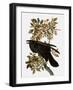 Audubon: Raven-John James Audubon-Framed Giclee Print