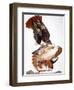 Audubon: Red-Tailed Hawk-John James Audubon-Framed Giclee Print