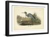 Audubon's Blue Heron-John James Audubon-Framed Premium Giclee Print