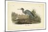 Audubon's Blue Heron-John James Audubon-Mounted Premium Giclee Print