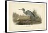 Audubon's Blue Heron-John James Audubon-Framed Stretched Canvas