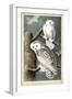 Audubon's Snowy Owl-John James Audubon-Framed Art Print