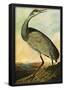 Audubon Sandhill Crane Bird Art Poster Print-null-Framed Poster