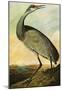 Audubon Sandhill Crane Bird Art Poster Print-null-Mounted Poster